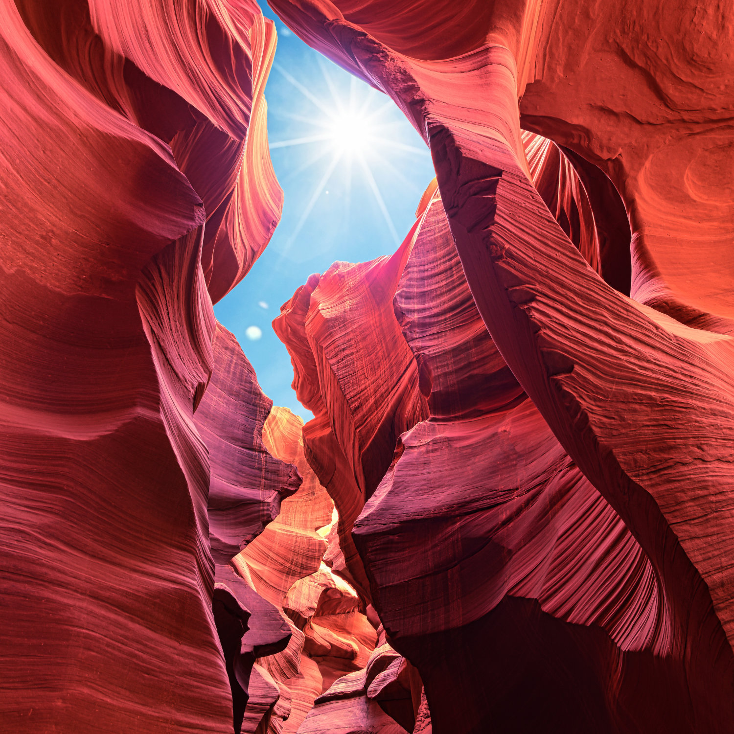 IF Consulting Idea Futuri