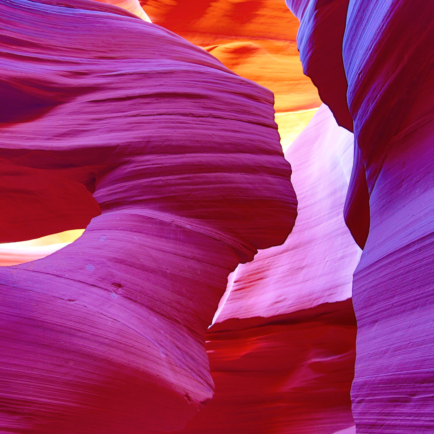 IF Consulting Idea Futuri