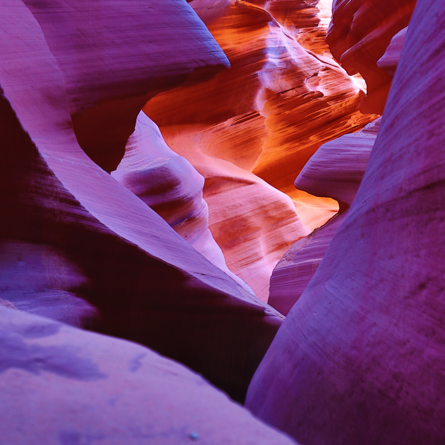 IF Consulting Idea Futuri