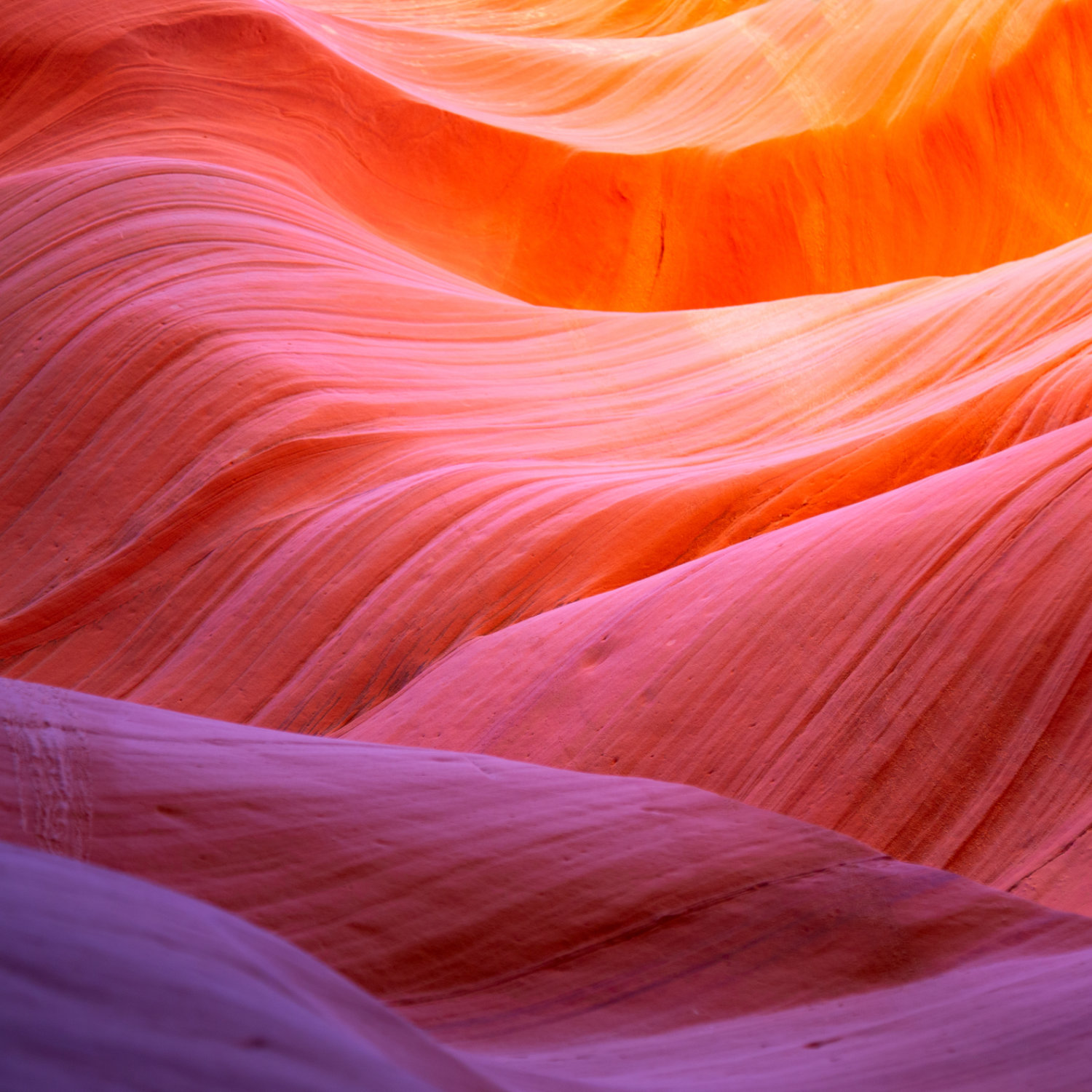 IF Consulting Idea Futuri