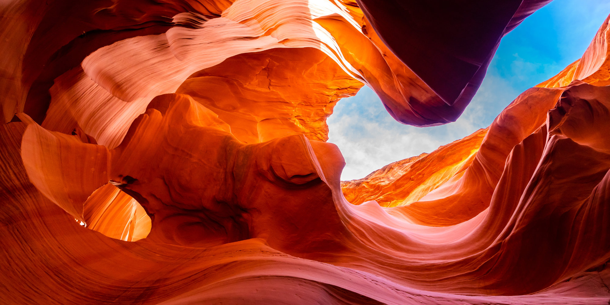 IF Consulting Idea Futuri